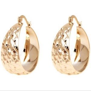 18KGP hoops earrings gold with diamond hammered design